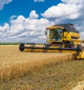 Harvester in a grain field Industry image